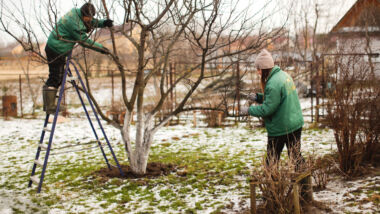 Welke buitenklussen kunt u doen in de winter? Het gaat van opruimen tot schoonmaken, schilderen en repareren in uw tuin.