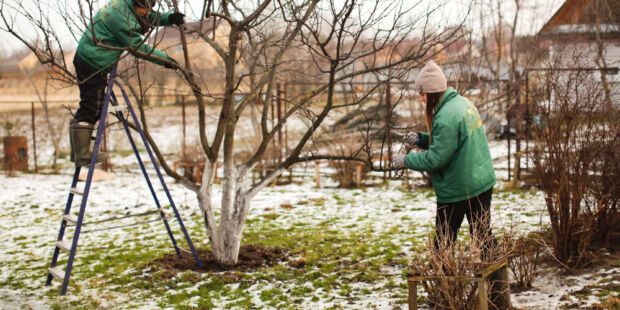 Welke buitenklussen kunt u doen in de winter? Het gaat van opruimen tot schoonmaken, schilderen en repareren in uw tuin.